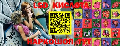 крисы Новодвинск