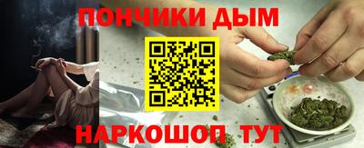 крисы Новодвинск